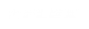 FLEX_LOGO_BLANCO